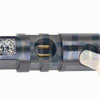 DELPHI Injector 2