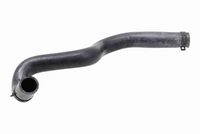 Furtun radiator VAICO, Cod: V48-0699
