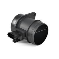 DELPHI Luchtmassameter 5