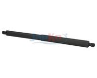 Amortizor portbagaj JAPKO, Cod: ZSJ01045