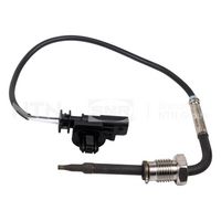 Sensor, Abgastemperatur