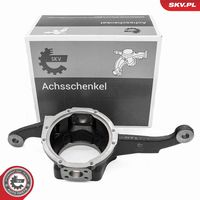 Steering Knuckle, wheel suspension