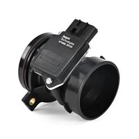 DELPHI Luchtmassameter 5