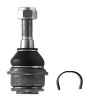 Trag-/Führungsgelenk