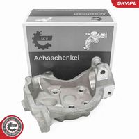 Steering Knuckle, wheel suspension