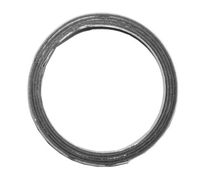 Dichtring, Abgasrohr