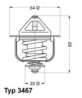 Thermostat, Kühlmittel