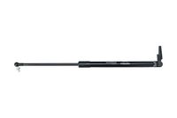 Article Picture