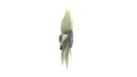 Thumbnail - Koelventilatorwiel - CFF441000P - MAHLE