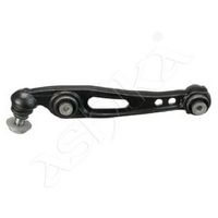 Brat, suspensie roata ASHIKA, Cod: 72-0L-L12L