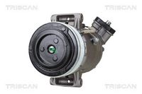 Compresor, climatizare TRISCAN, Cod: 9020 24024
