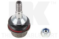 Trag-/Führungsgelenk