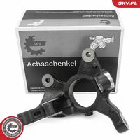 Steering Knuckle, wheel suspension