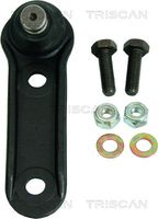 Trag-/Führungsgelenk