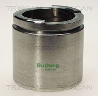 Kolben, Bremssattel