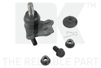 Trag-/Führungsgelenk