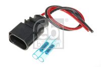 Stecker