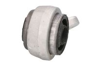 тампон, носач