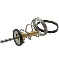 Thermostat, Kühlmittel