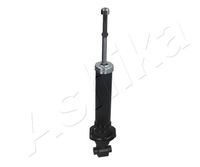 Article Picture