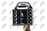 Article Picture
