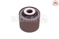 Mounting, control/trailing arm