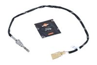 Sensor, Abgastemperatur