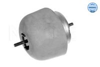 окачване, двигател