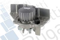 Wasserpumpe, Motorkühlung