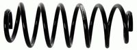 Suspension Spring