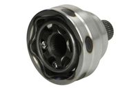 PASCAL Askoppeling 2