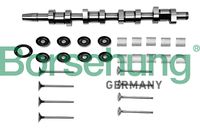 CHIT DE REPARATIE ARBORE INTERMEDIAR