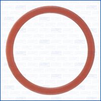 INEL DE ETANșARE FILTRU DE COMBUSTIBIL