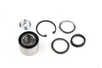 Set rulment roata DR!VE+, Cod: DP2010.10.0317