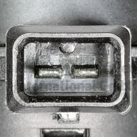Article Picture