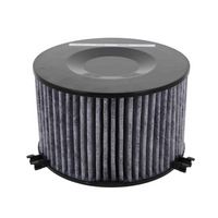 Filter, Innenraumluft