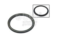 Radial Shaft Seal