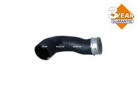 Article Picture