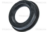 Element de reglare, arbore excentirc (cursa variabila ventil TRISCAN, Cod: 8900 11808
