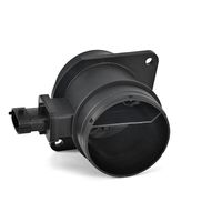 DELPHI Luchtmassameter 7