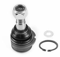 Trag-/Führungsgelenk