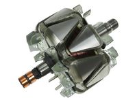 Rotor, alternator