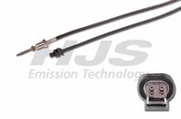 Sensor, Abgastemperatur