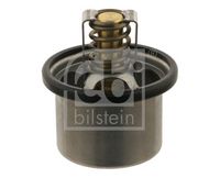 Thermostat, Kühlmittel