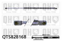 Gasfeder, Koffer-/Laderaum