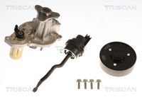 Wasserpumpe, Motorkühlung