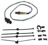 ламбда-сонда