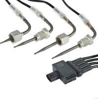 Sensor, Abgastemperatur