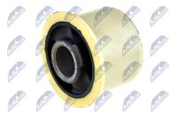 тампон, носач