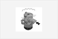 Pompă de apă, răcire motor HUTCHINSON, Cod: WP57